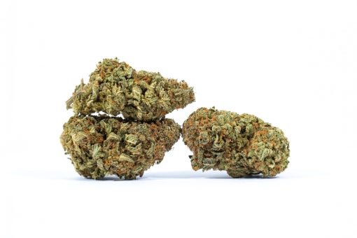 Duke Nukem cannabis strain
