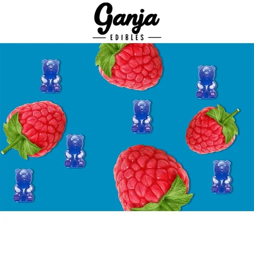 Ganja-Bears-Blue-Raspberry-1-2.jpg