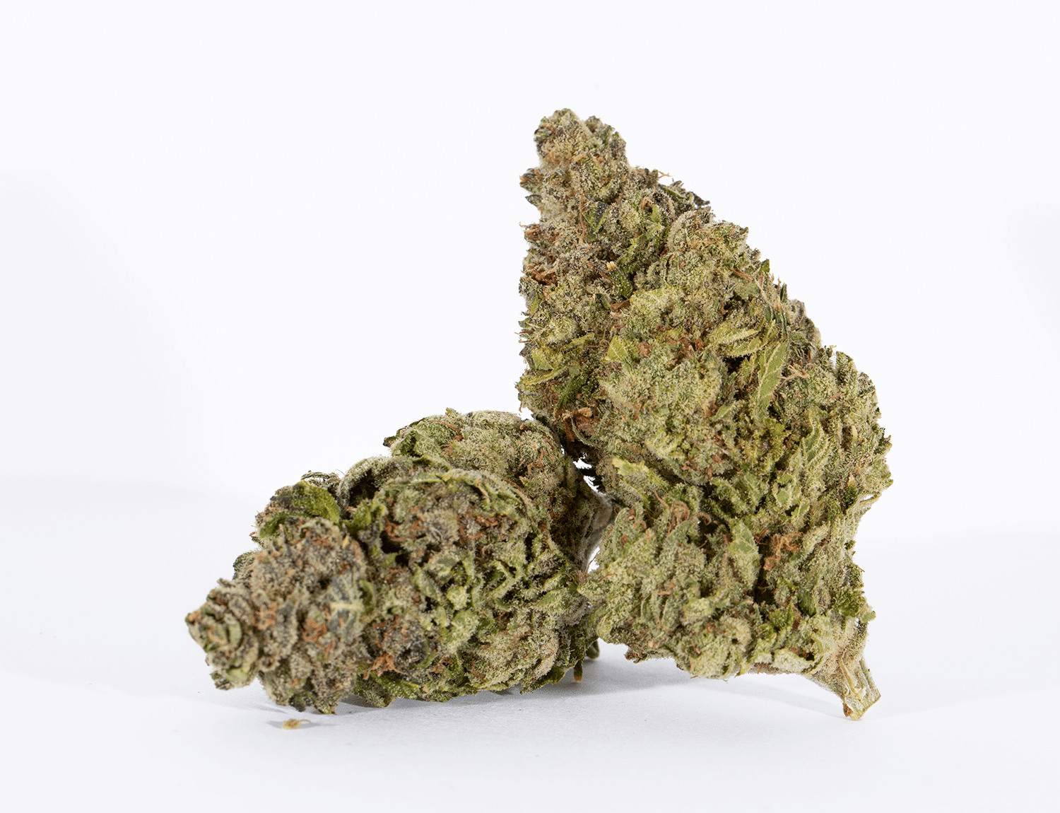 Buy Berner Cookies Online + Free Joint Online Dispensary Canada