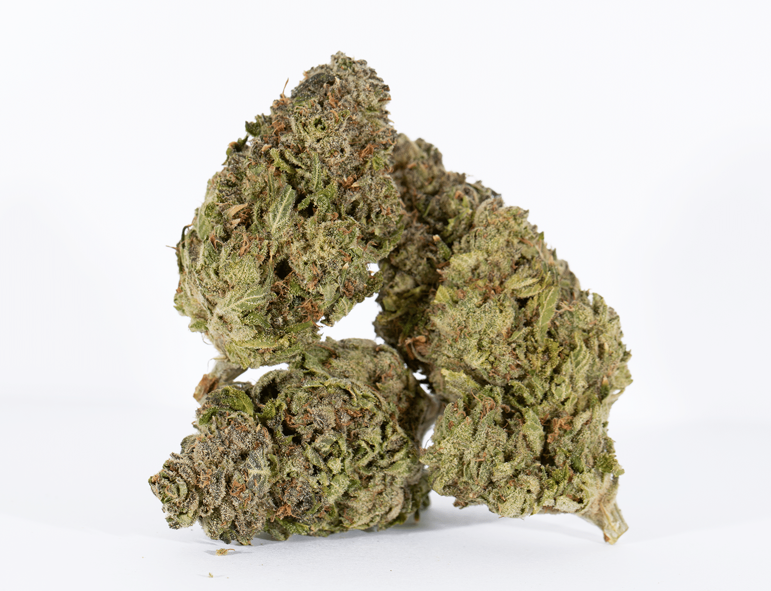 Buy Berner Cookies Online + Free Joint Online Dispensary Canada