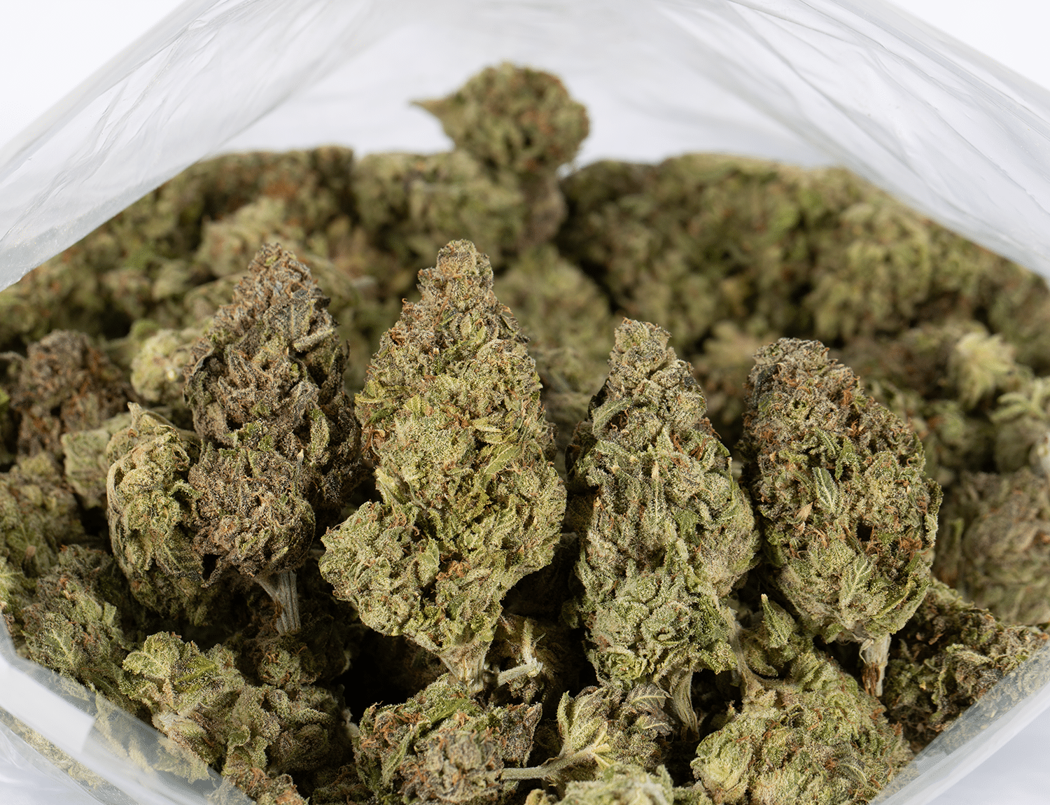 Buy Berner Cookies Online + Free Joint | Online Dispensary Canada