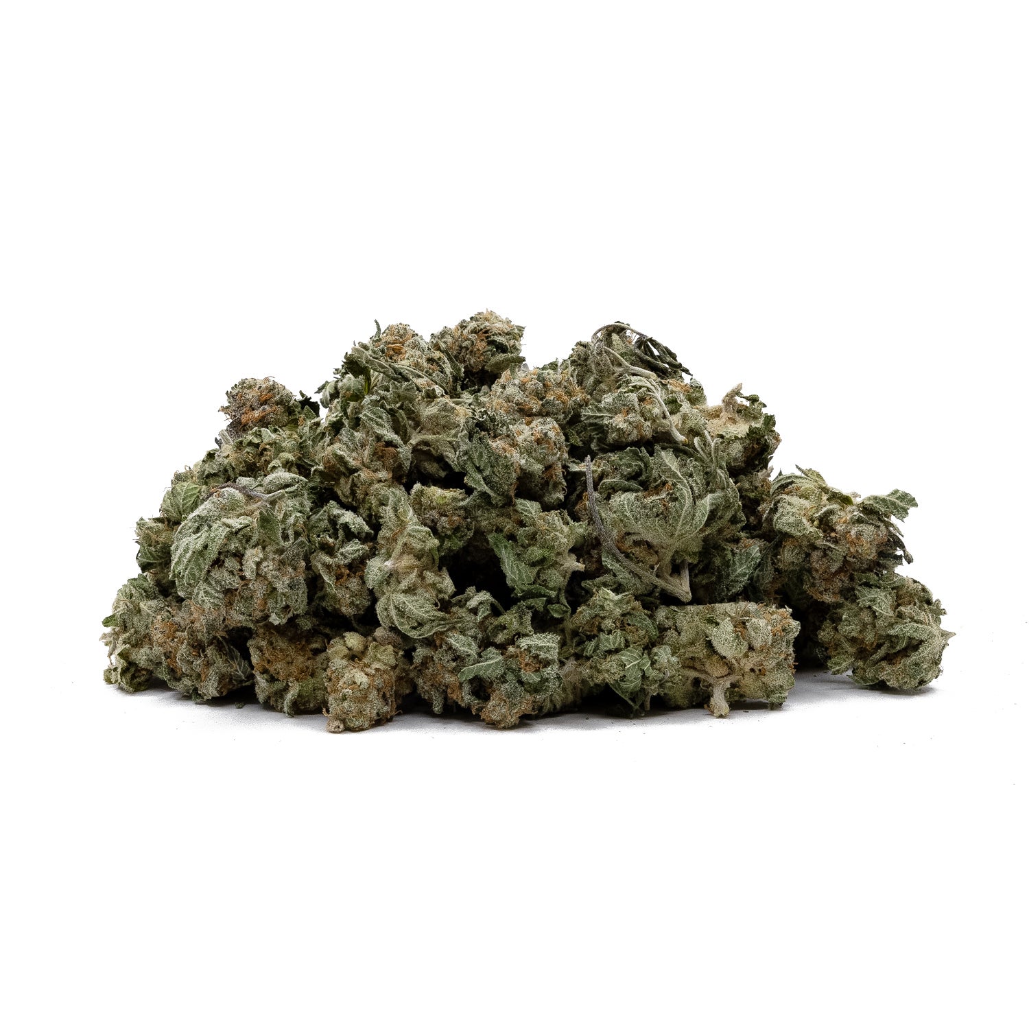 Medusa-LuckyFarms-03