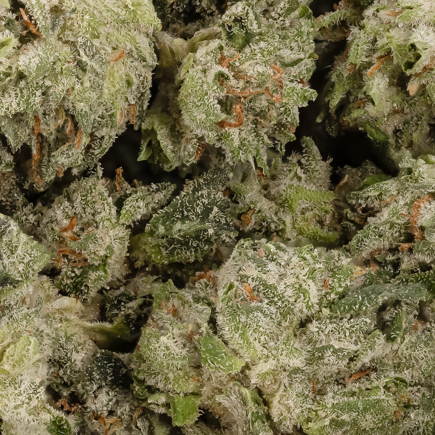 PeanutButterBreathSmalls-LuckyFarms-03