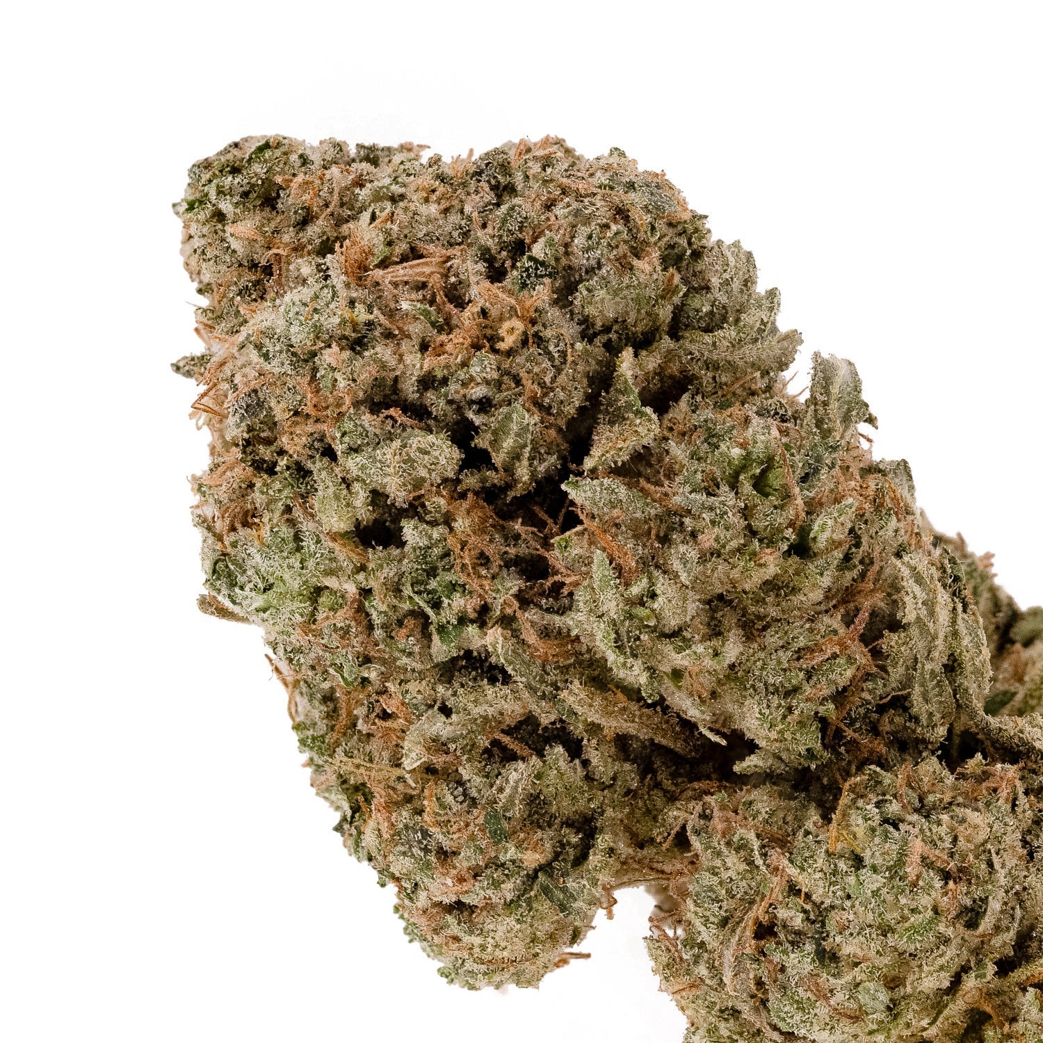 GalacticGas-Superdank-04