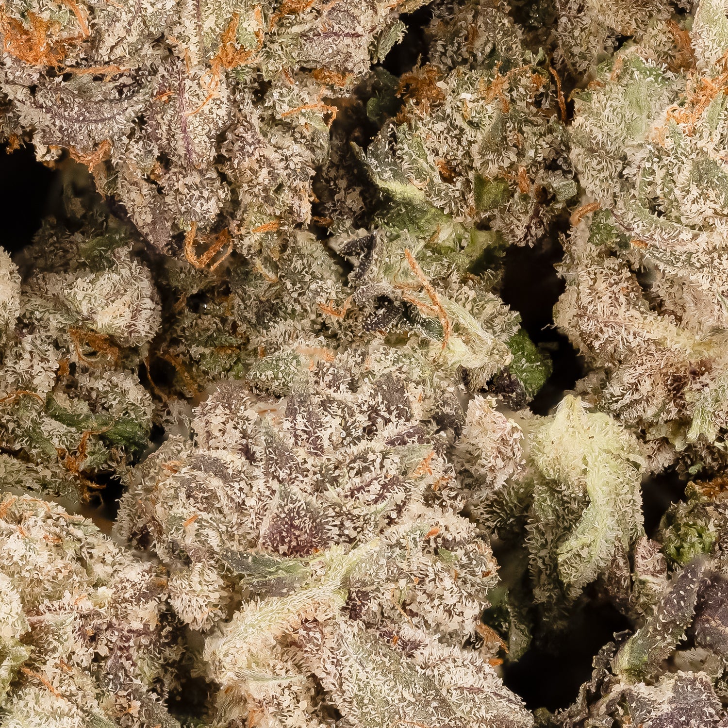 IslandPinkSmalls-LuckyFarms-03