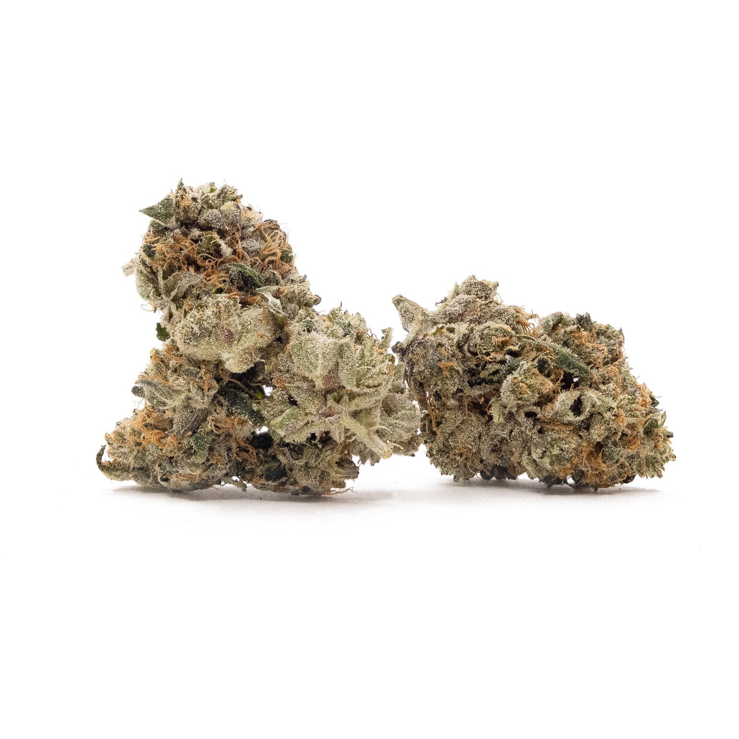 NorthernLights-LuckyFarms-01