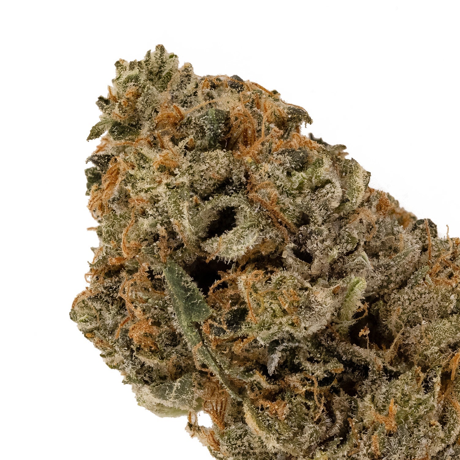 NorthernLights-LuckyFarms-04