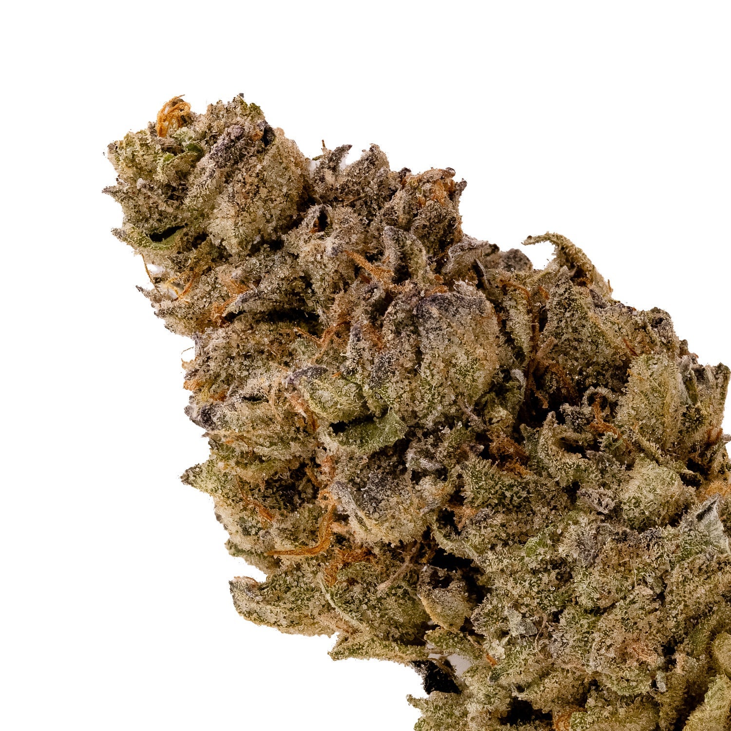 WhiteLightning-LuckyFarms-04