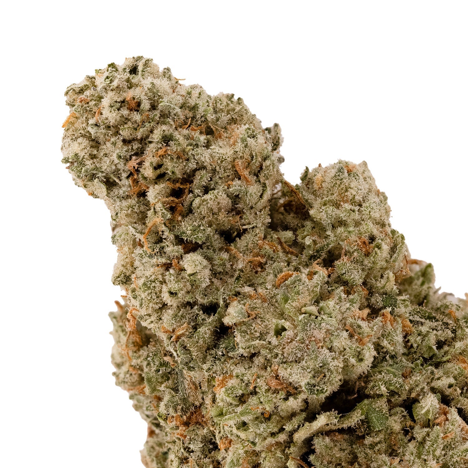 GlitterBomb-LukcyFarms-04