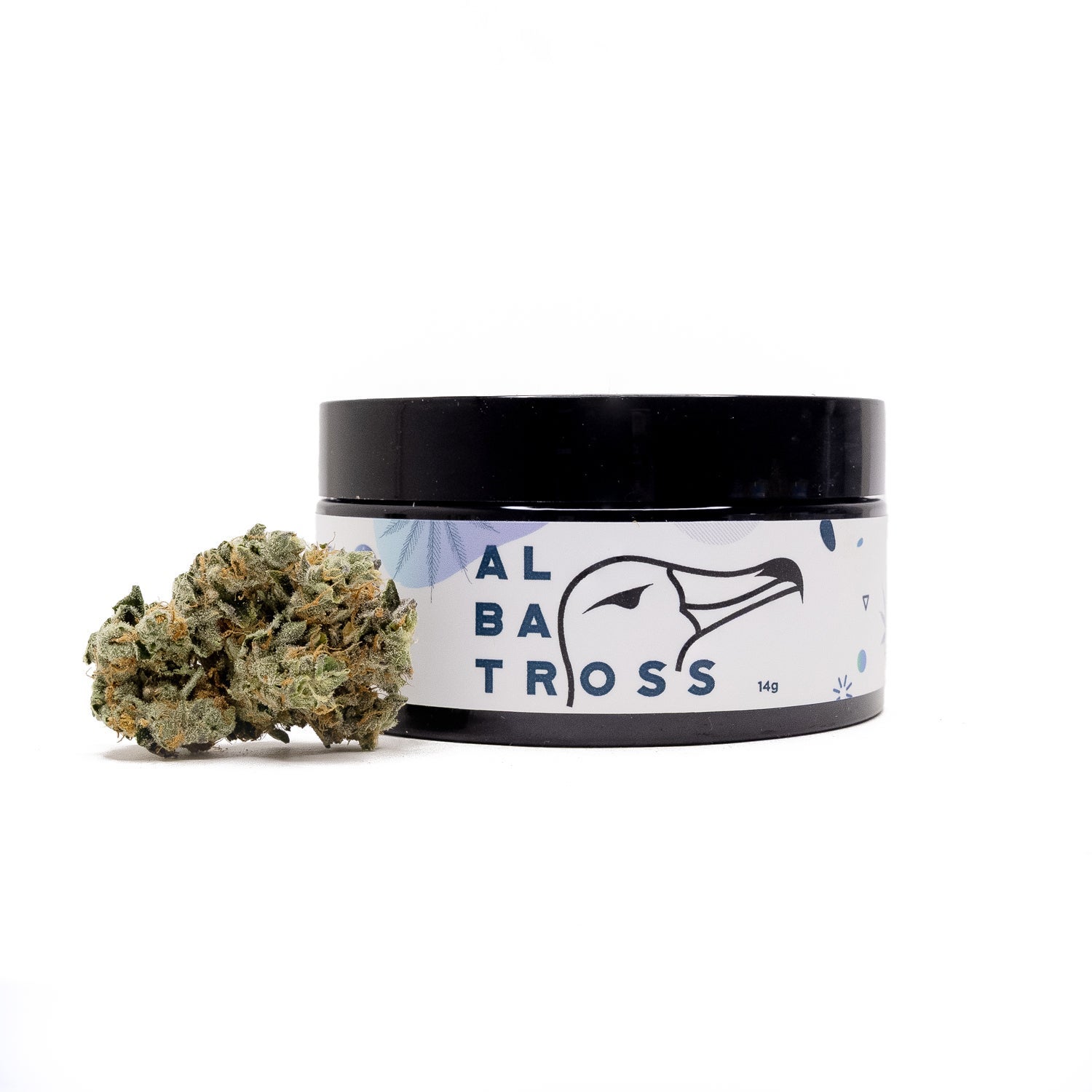 PunchDog-Albatross-07