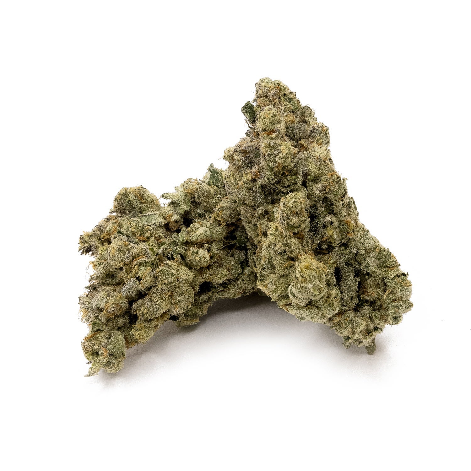 Crunchyberry-Hoot-02