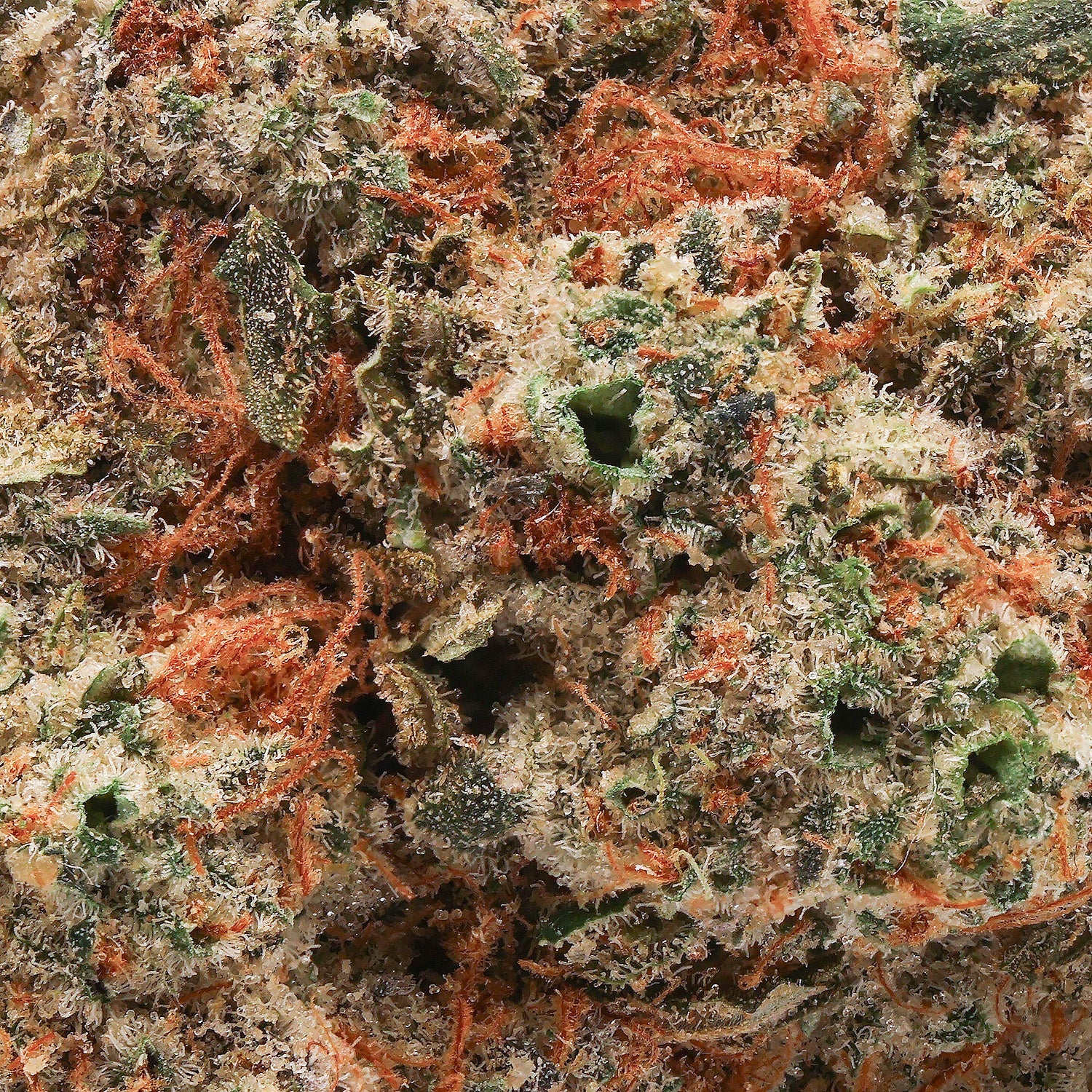 Cream-of-the-Crop-Strawberry-Cream-05