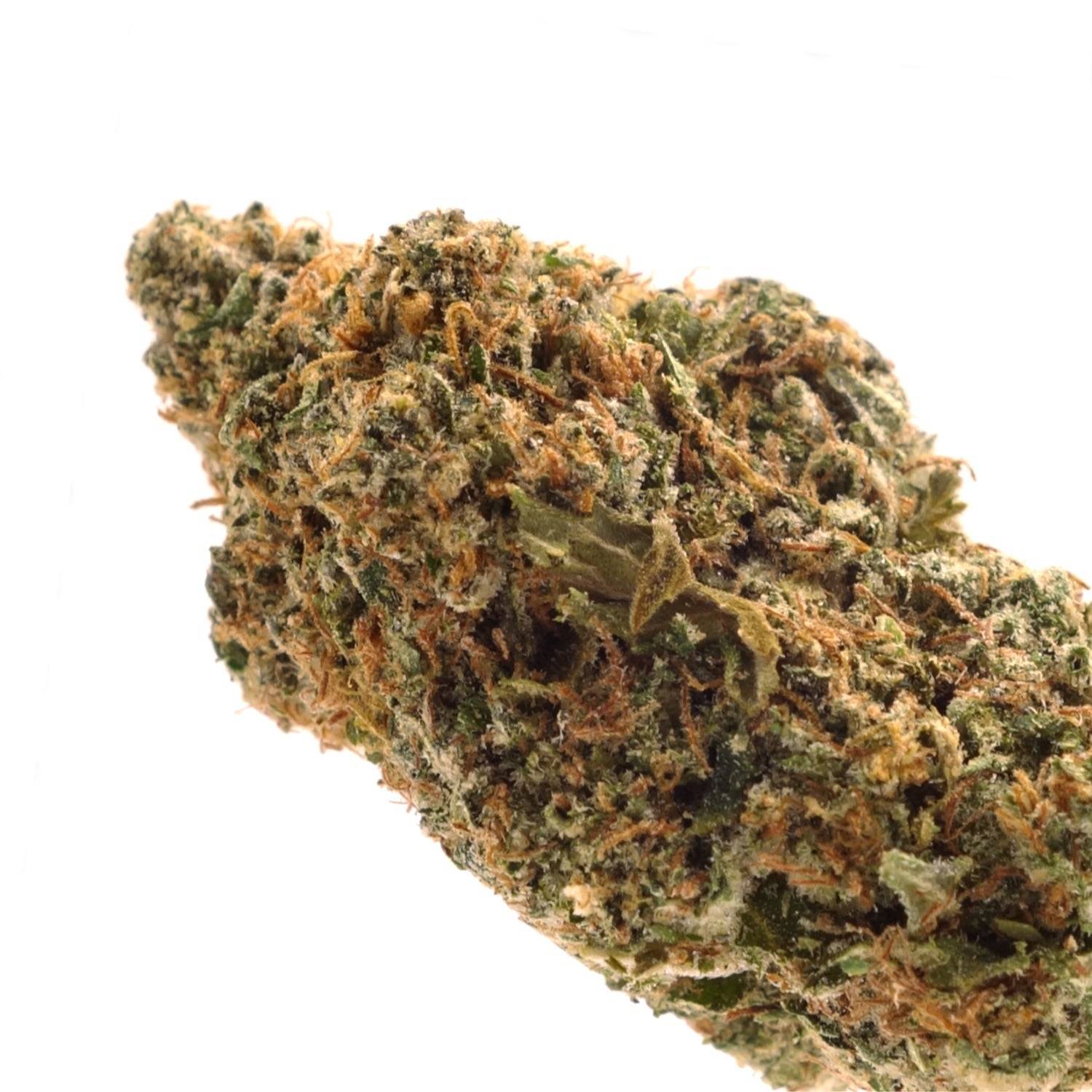 Superdank-MK-Ultra-04