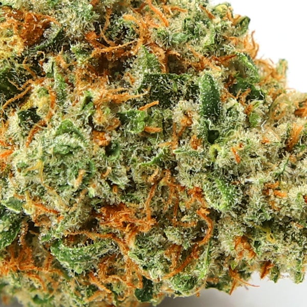 Banana Haze Strain Strain Library Kootenay Botanicals