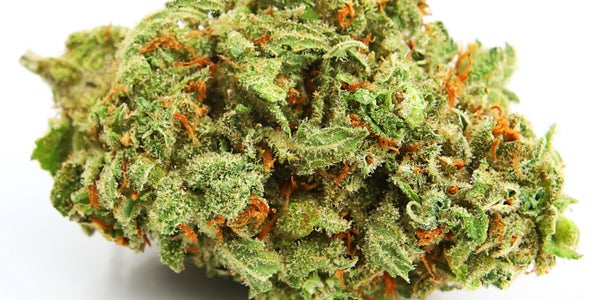 Citrus Skunk Cannabis Nug