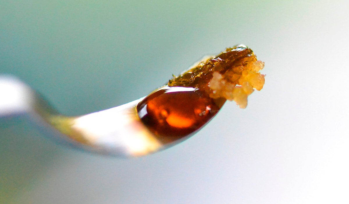Cannabis Concentrates: Guide to Weed Extractions