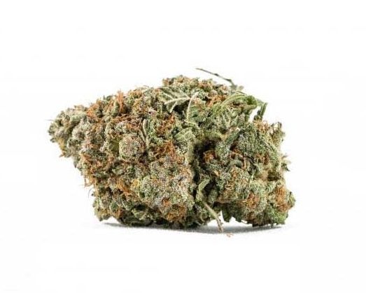 Treat HIV/AIDS with sensational Godfather OG plant marijuana feminized