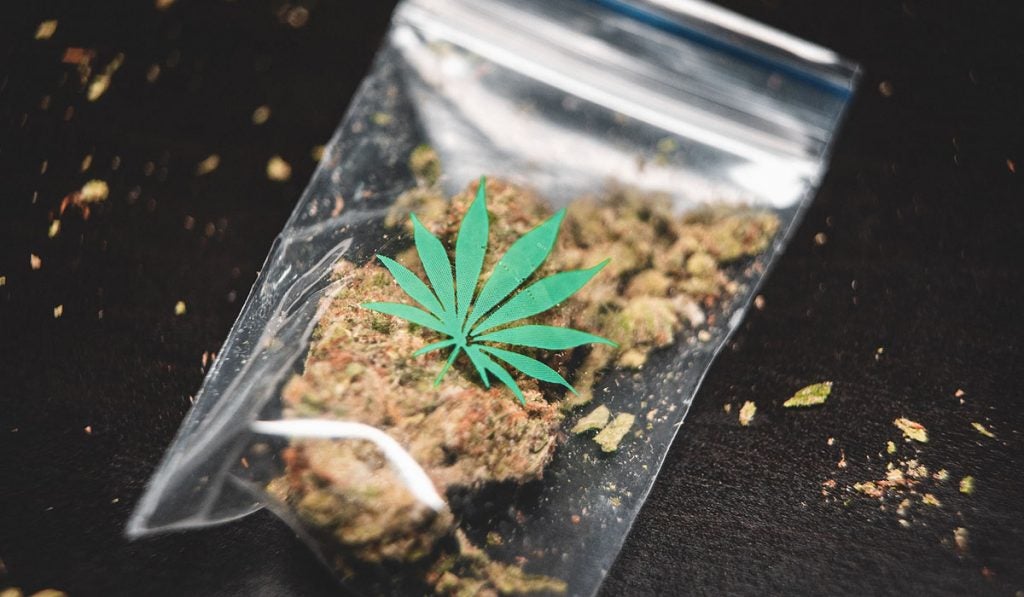 Where To Buy Cannabis in Edmonton