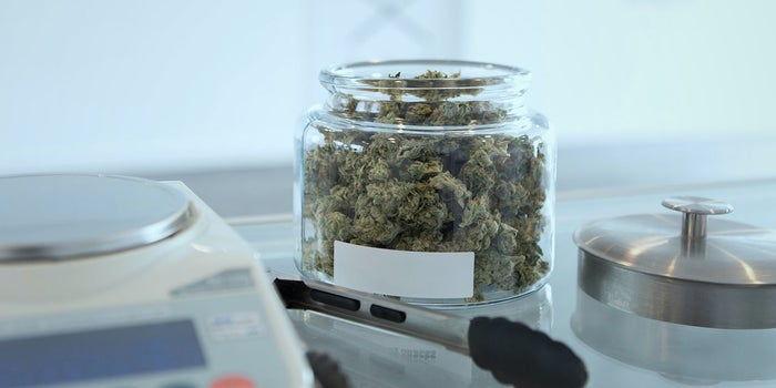 Toronto Cannabis Dispensaries