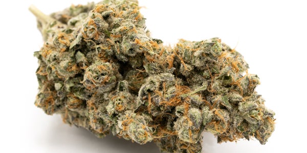 Pineapple Express Strain