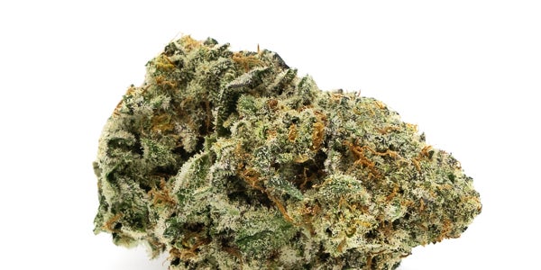 Skookum Cannabis Grease Monkey