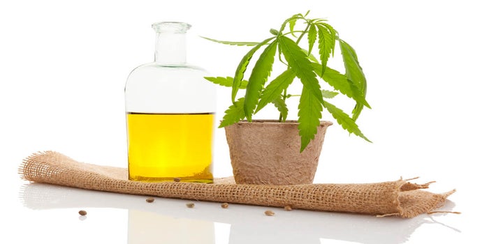 Can Cannabis Oil Go Bad?