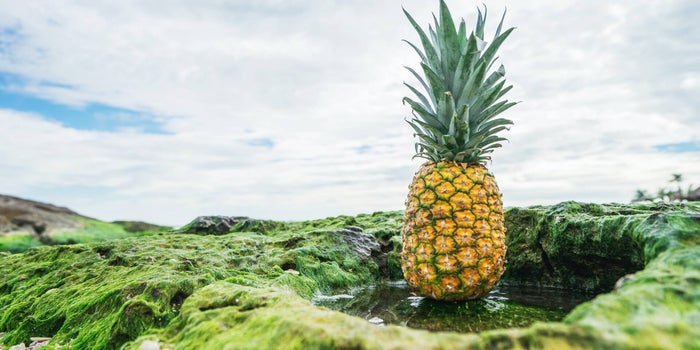 Fruity Cannabis Strains in Canada