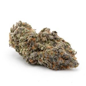 Top Cannabis Strains Purple God