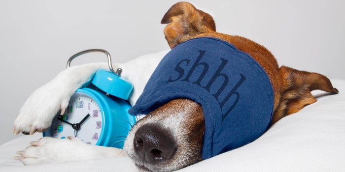 Best Indica Strain For Sleep