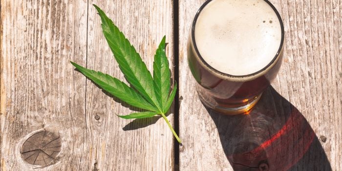 cannabis and alcohol