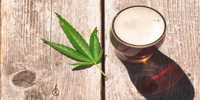 cannabis and alcohol