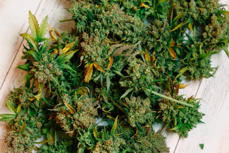 best couch lock strains
