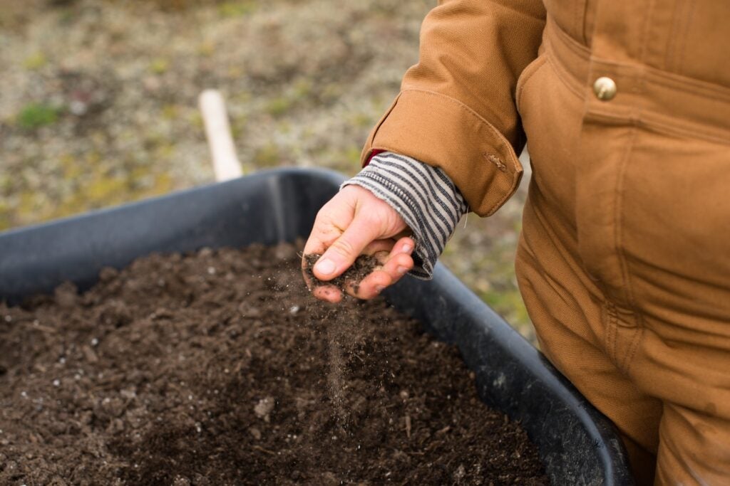 Living organic Soil