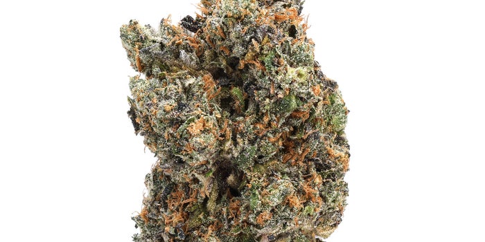 Runtz bud pale green with darker green spots, scattered copper hairs