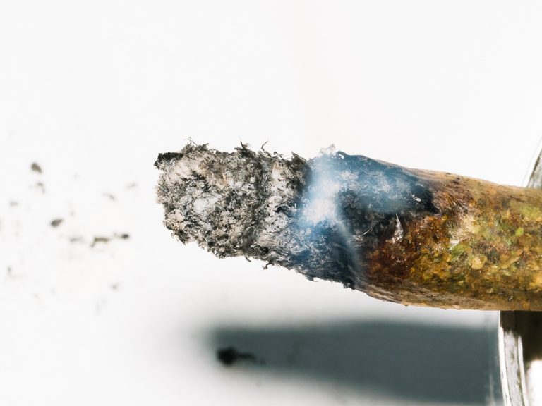 Cannabis Ash