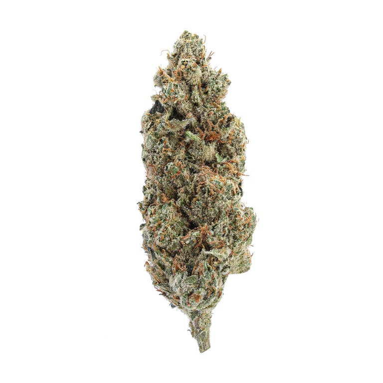Gelato bud, darker green with orange hairs, coated in crystal trichomes, making the nug look pale