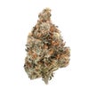 Alien Dawg