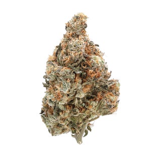 Alien Dawg