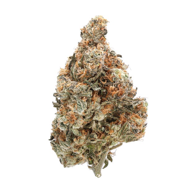 Alien Dawg