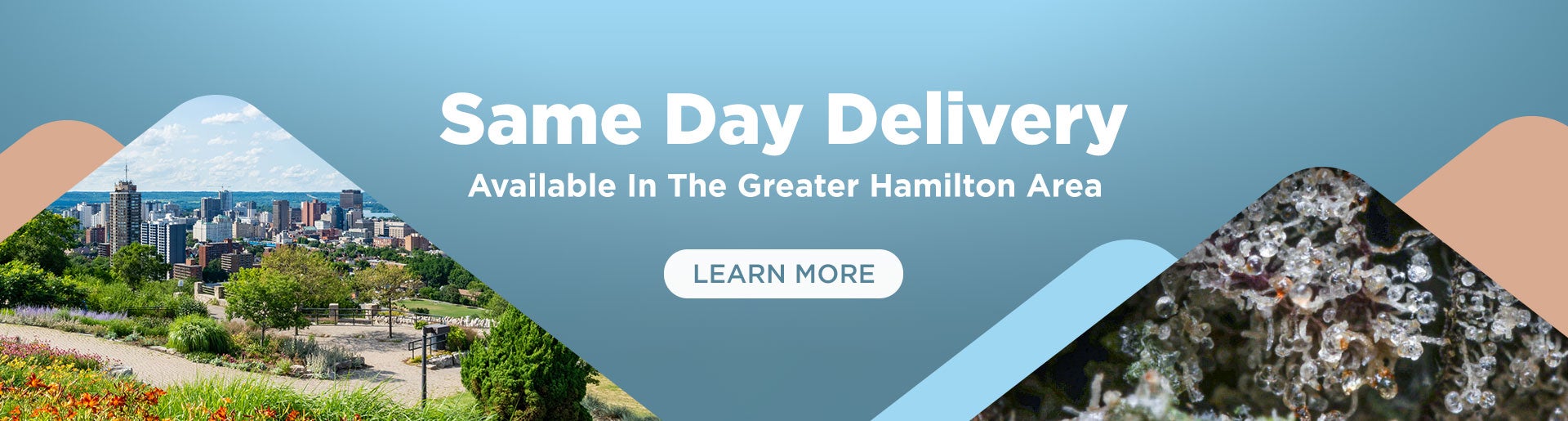 Same Day Weed Delivery Hamilton