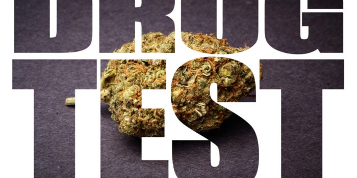 marijuana drug test title and picture photo