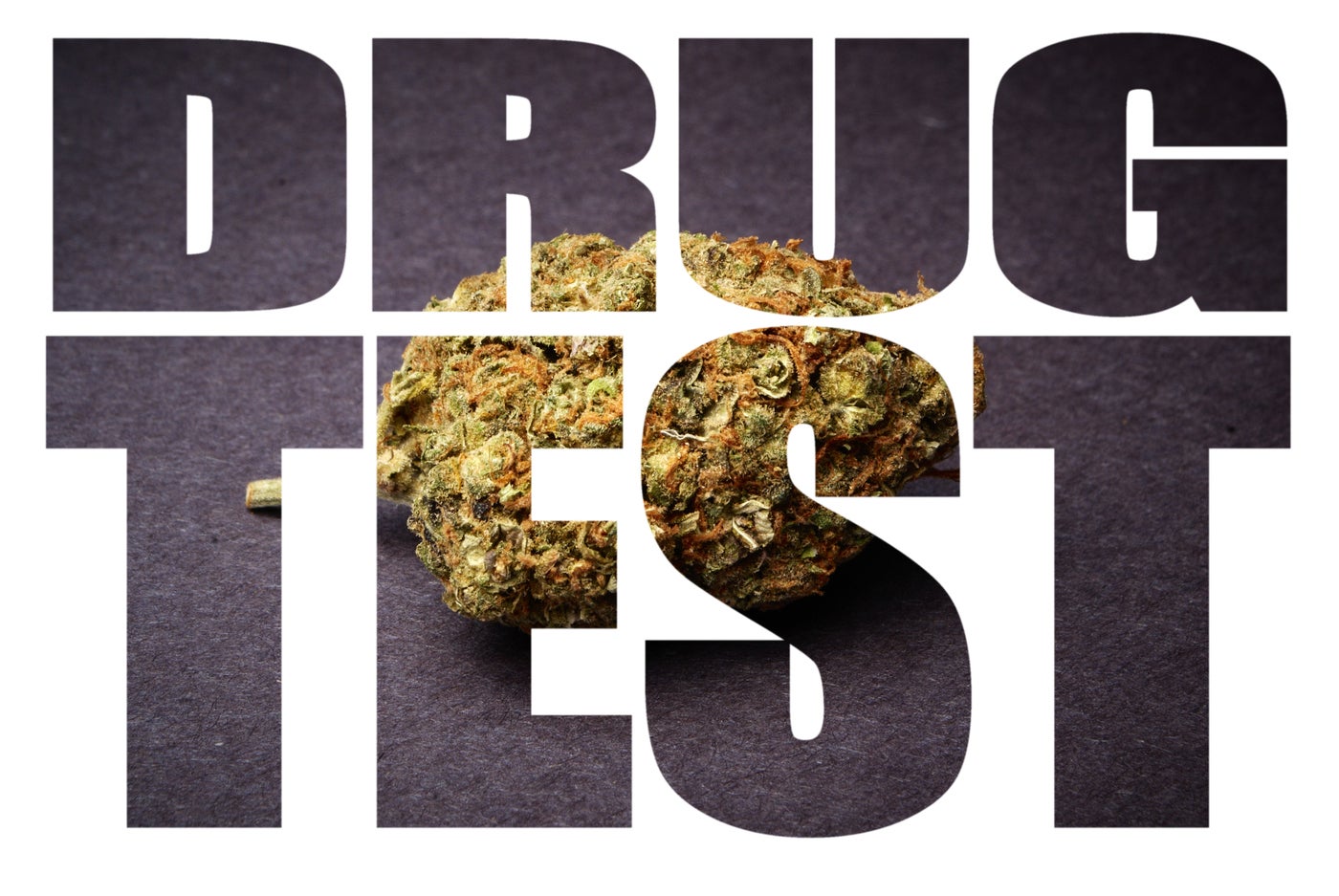 marijuana drug test title and picture photo