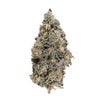 Oso Fuego Animal Mints Nug Shot