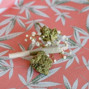two marijuana buds and a pre-roll