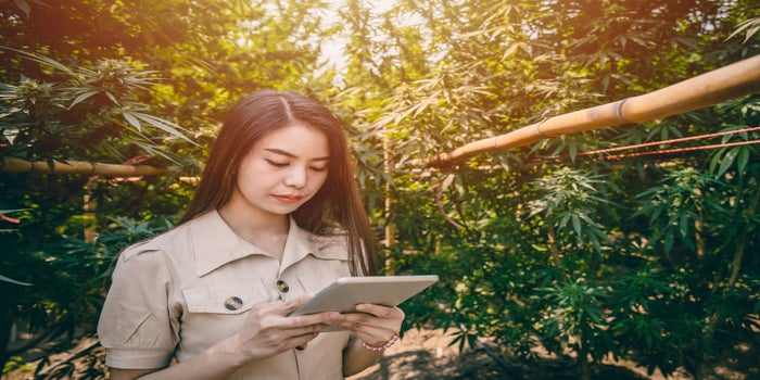 young girl cannabis farmer with black hair and an ipad