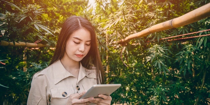 young girl cannabis farmer with black hair and an ipad