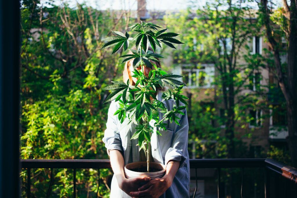 woman holding a marijuana plant that she grew in a pot