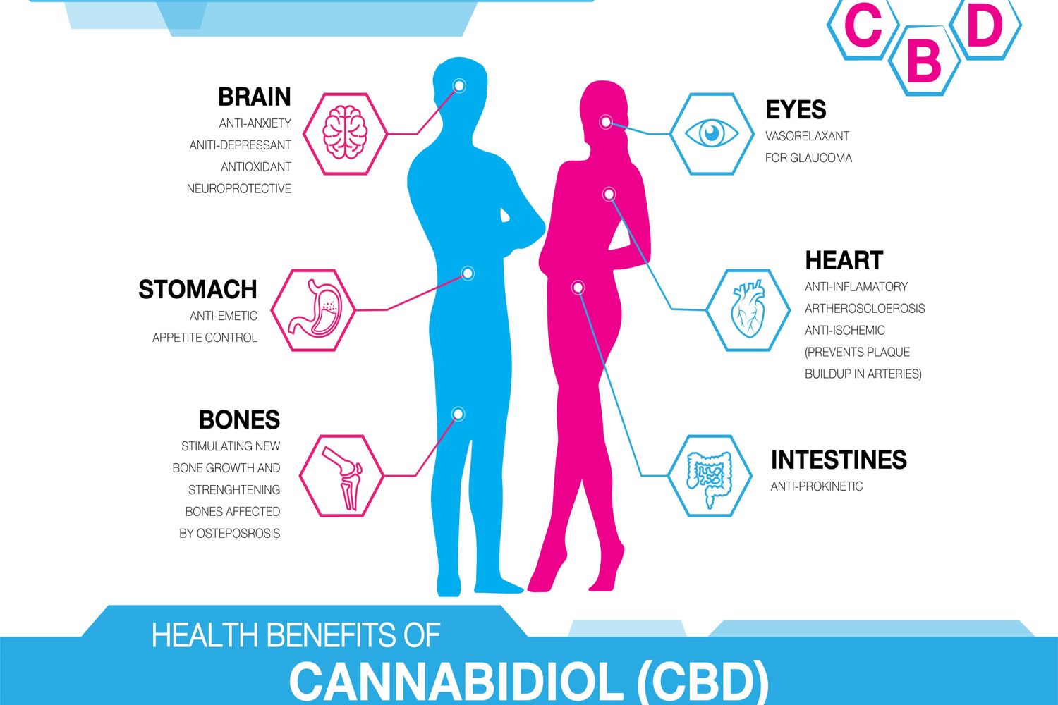 CBD also benefits the physical body such as your brain, stomach, bones, eyes, heart and intestines.