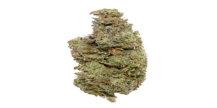 Tahiti Lime strain