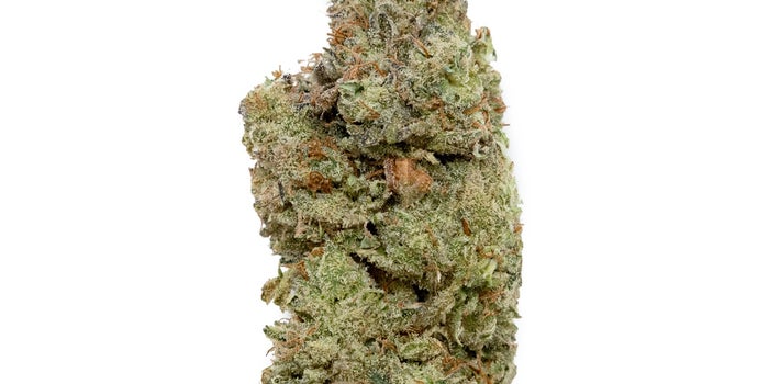 Tahiti Lime strain